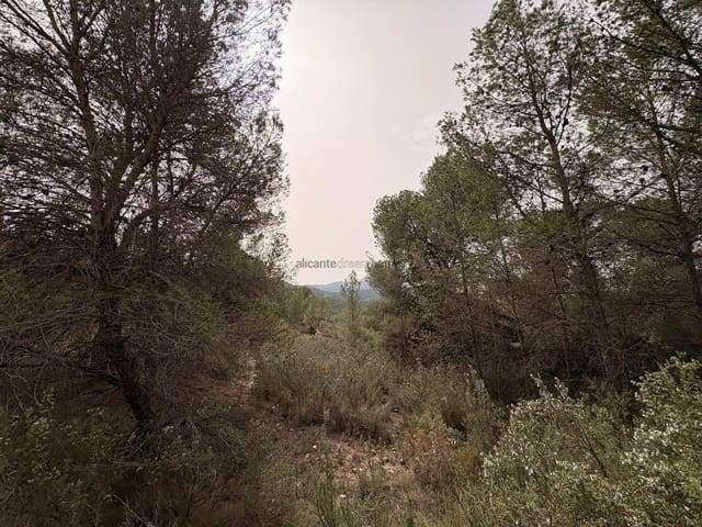 Undeveloped Land for sale in Petrel / Petrer - € 106,000 (Ref: 9735078)