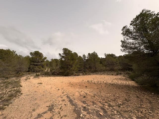 Undeveloped Land for sale in Petrel / Petrer - € 106,000 (Ref: 9735078)