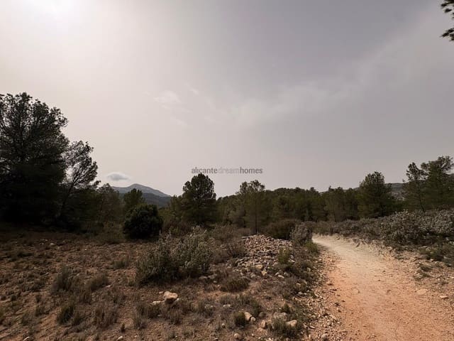 Undeveloped Land for sale in Petrel / Petrer - € 106,000 (Ref: 9735078)