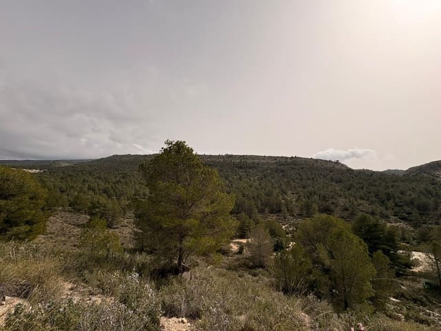 Undeveloped Land for sale in Petrel / Petrer - € 106,000 (Ref: 9735078)