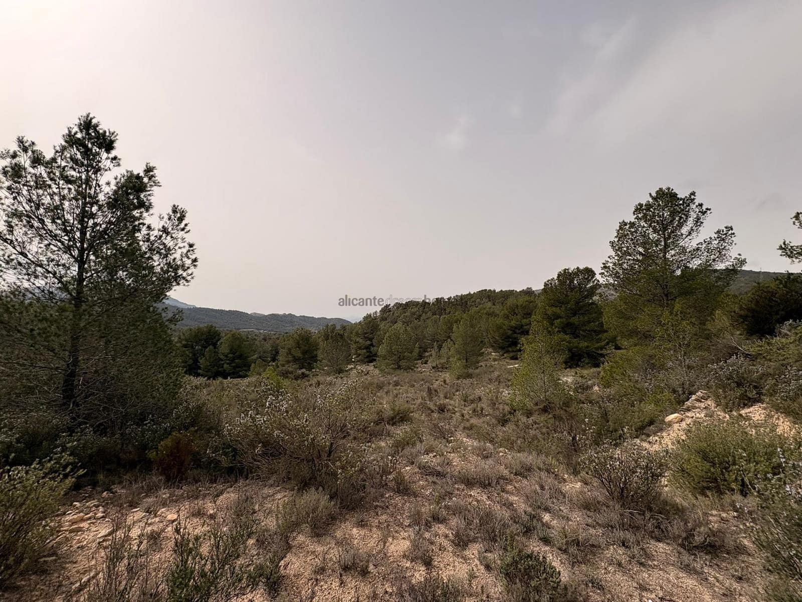 Undeveloped Land for sale in Petrel / Petrer - € 106,000 (Ref: 9735078)