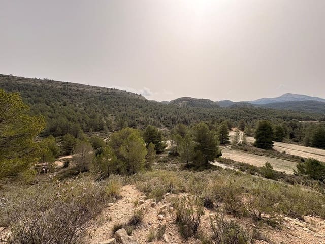 Undeveloped Land for sale in Petrel / Petrer - € 106,000 (Ref: 9735078)