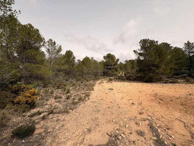 Undeveloped Land for sale in Petrel / Petrer - € 106,000 (Ref: 9735078)