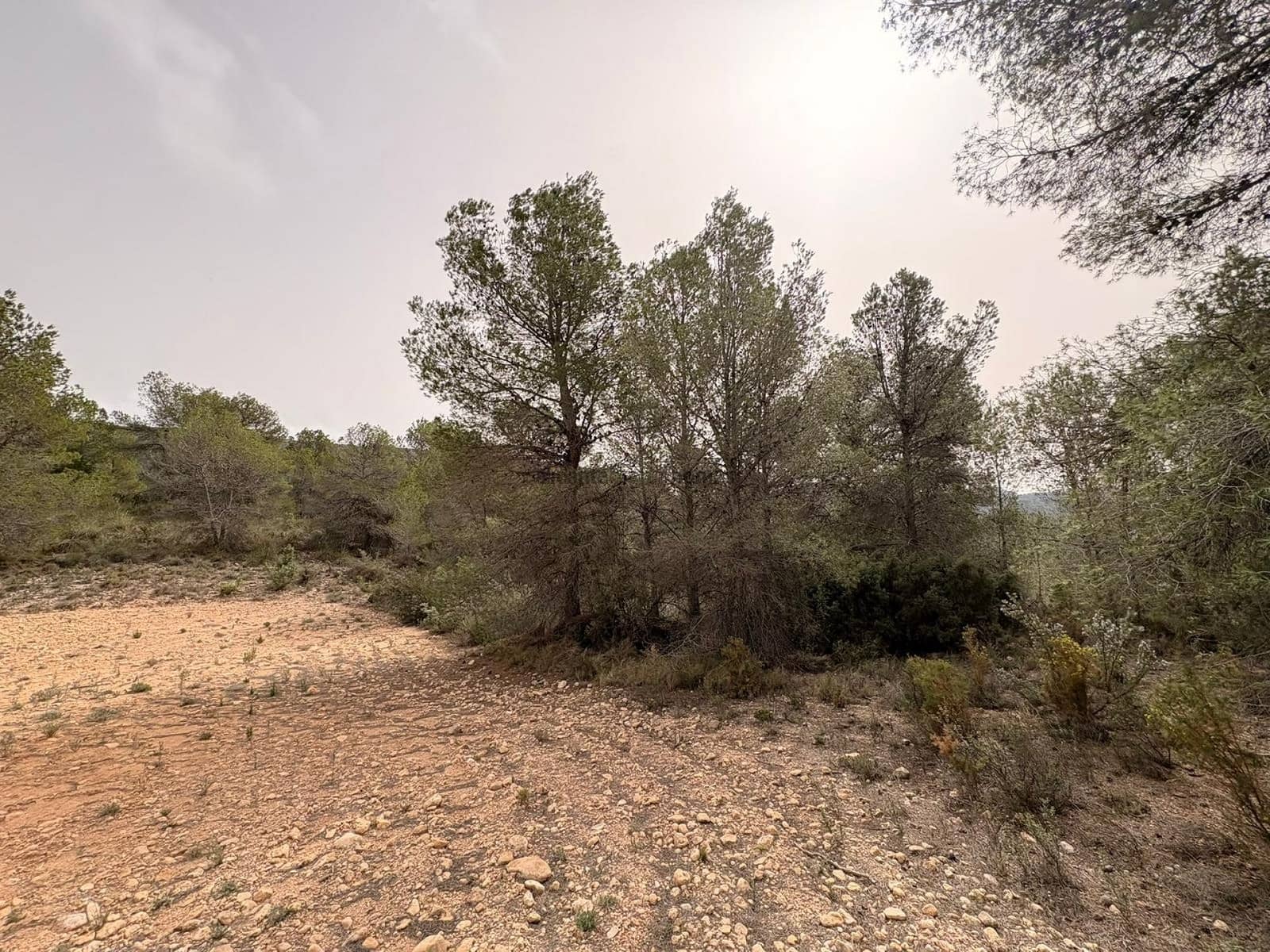 Undeveloped Land for sale in Petrel / Petrer - € 106,000 (Ref: 9735078)