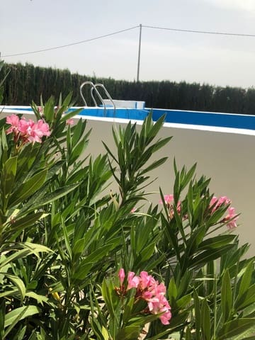 4 sypialnia Willa na sprzedaż w Yecla z basenem - 149 995 € (Ref: 9741471)