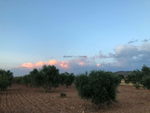 4 sypialnia Willa na sprzedaż w Yecla z basenem - 149 995 € (Ref: 9741471)