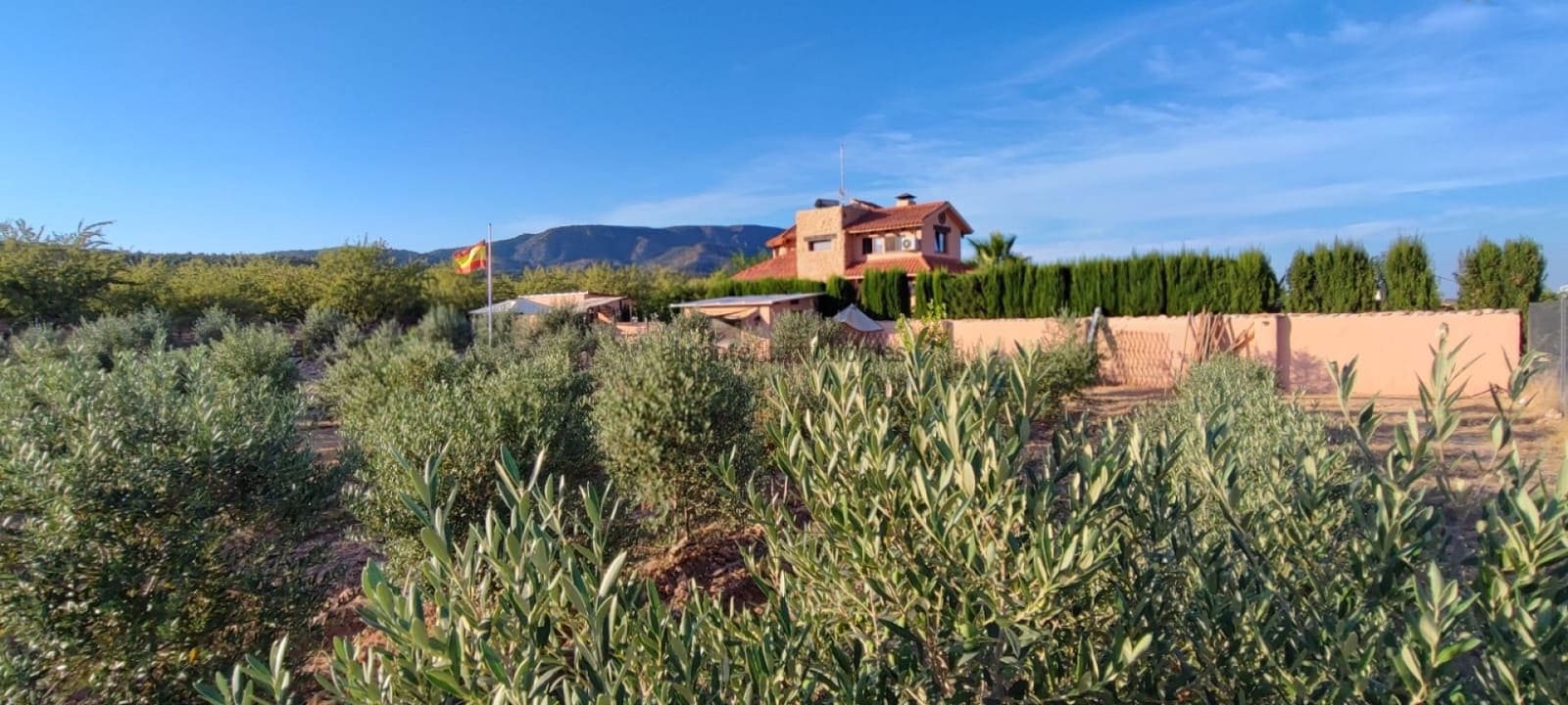 5 soveværelse Villa til salg i Pinoso med swimmingpool - € 499.995 (Ref: 9755274)