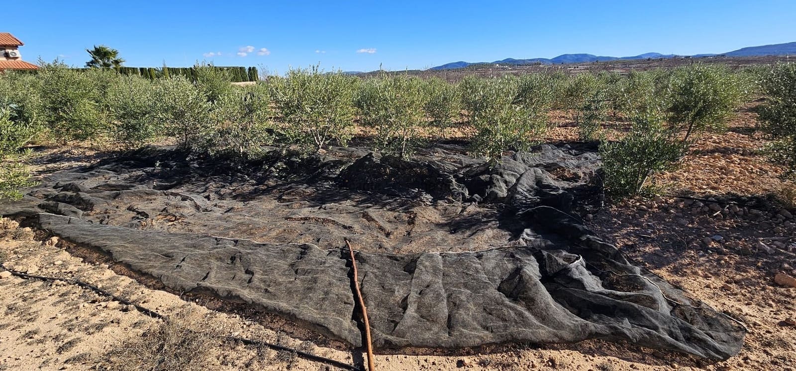 5 soveværelse Villa til salg i Pinoso med swimmingpool - € 499.995 (Ref: 9755274)