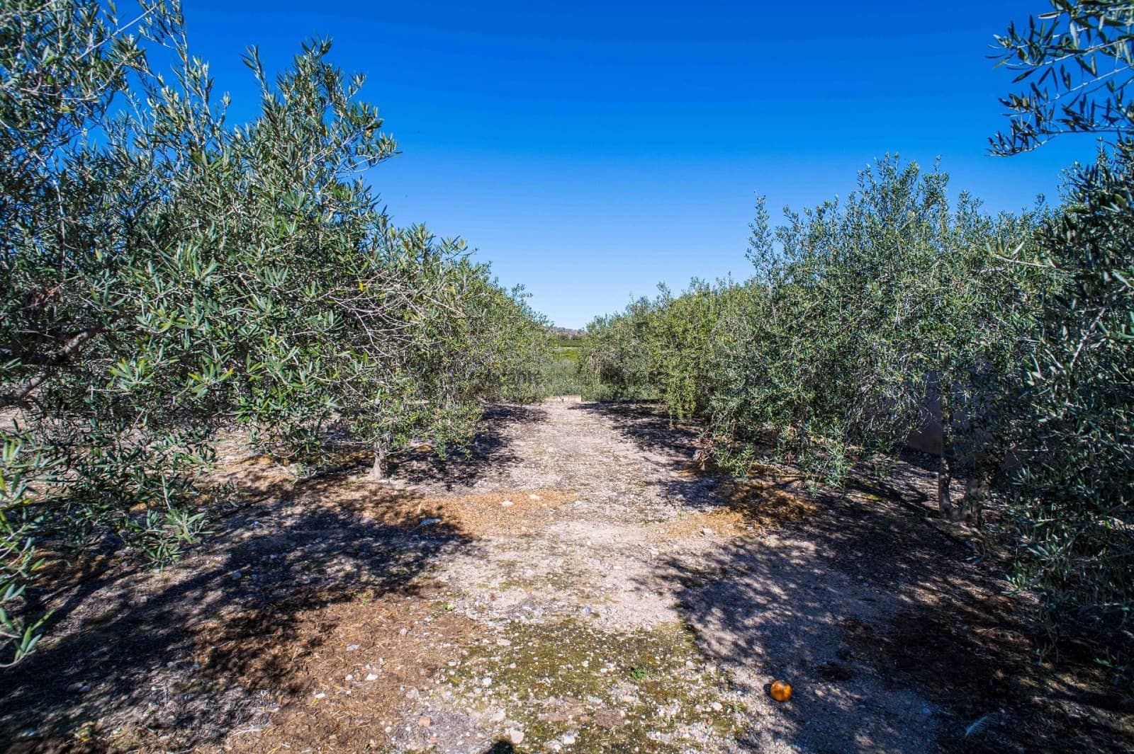 4 soverom Finca/Herregård til salgs i Santomera med svømmebasseng - € 350 000 (Ref: 9758395)