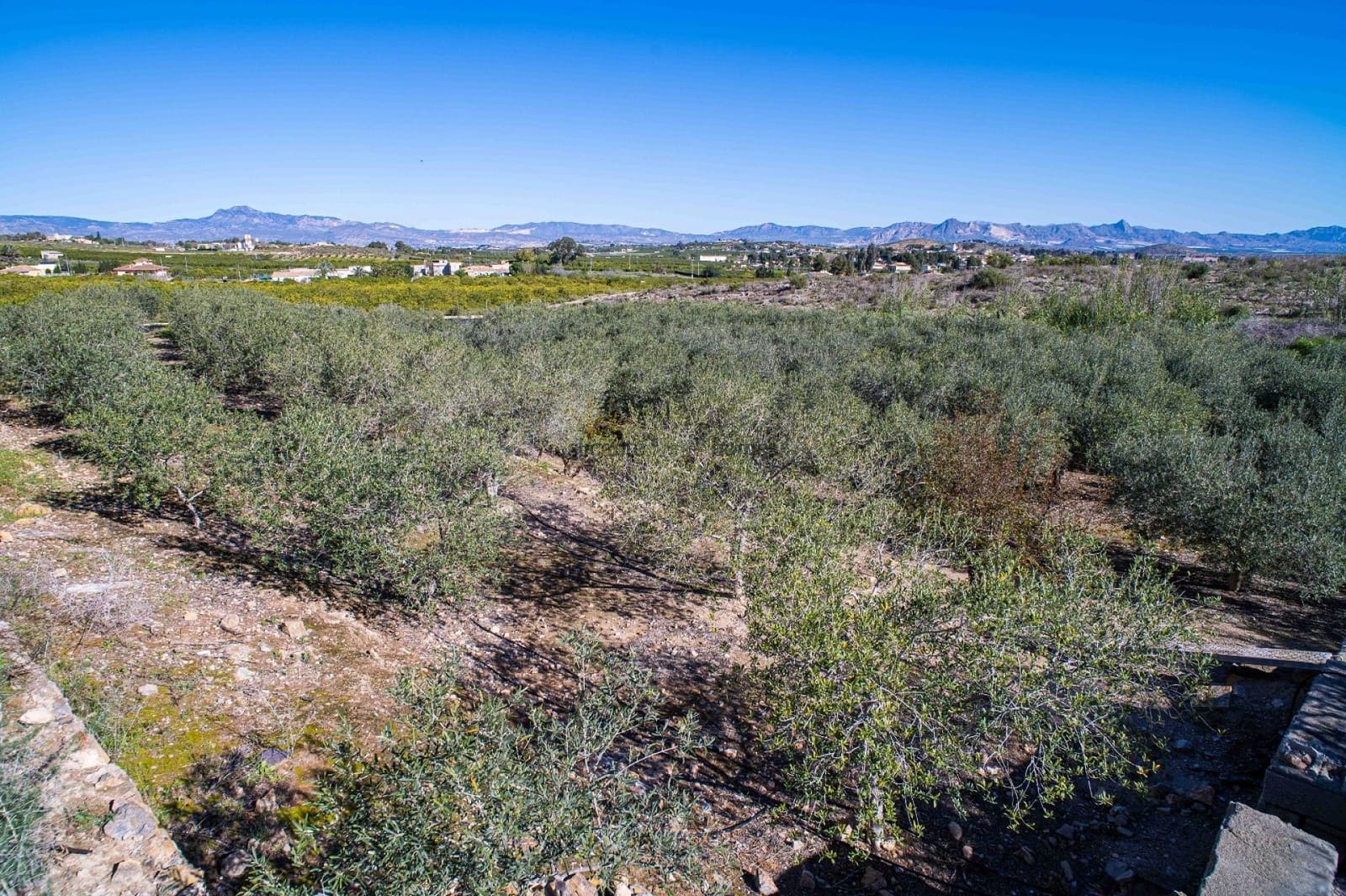 4 soverom Finca/Herregård til salgs i Santomera med svømmebasseng - € 350 000 (Ref: 9758395)