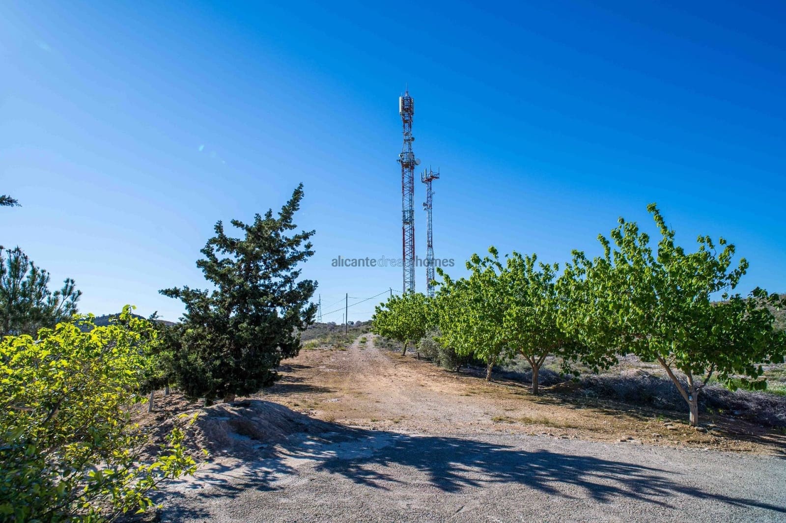 4 soverom Finca/Herregård til salgs i Santomera med svømmebasseng - € 350 000 (Ref: 9758395)