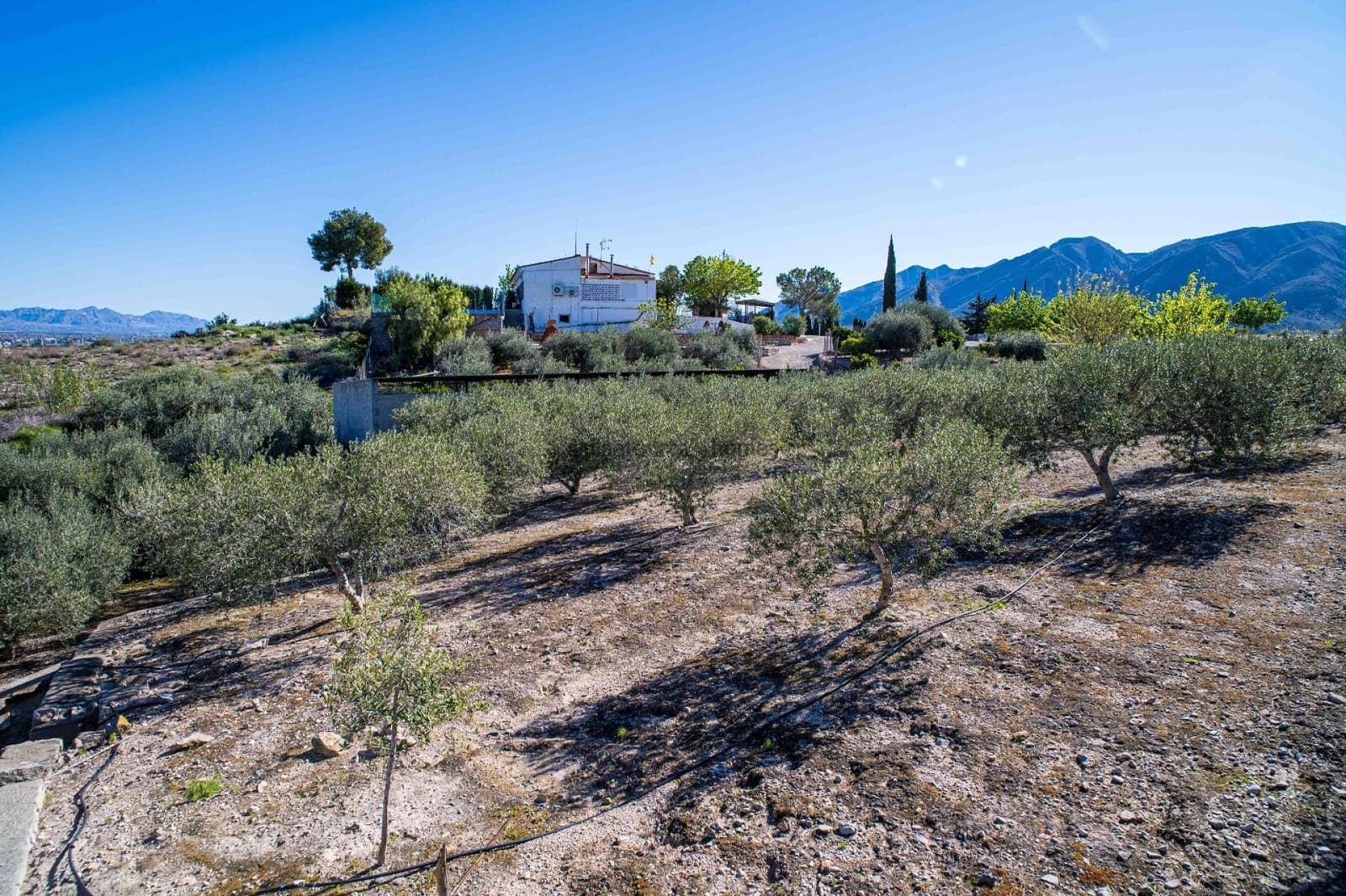 4 soverom Finca/Herregård til salgs i Santomera med svømmebasseng - € 350 000 (Ref: 9758395)