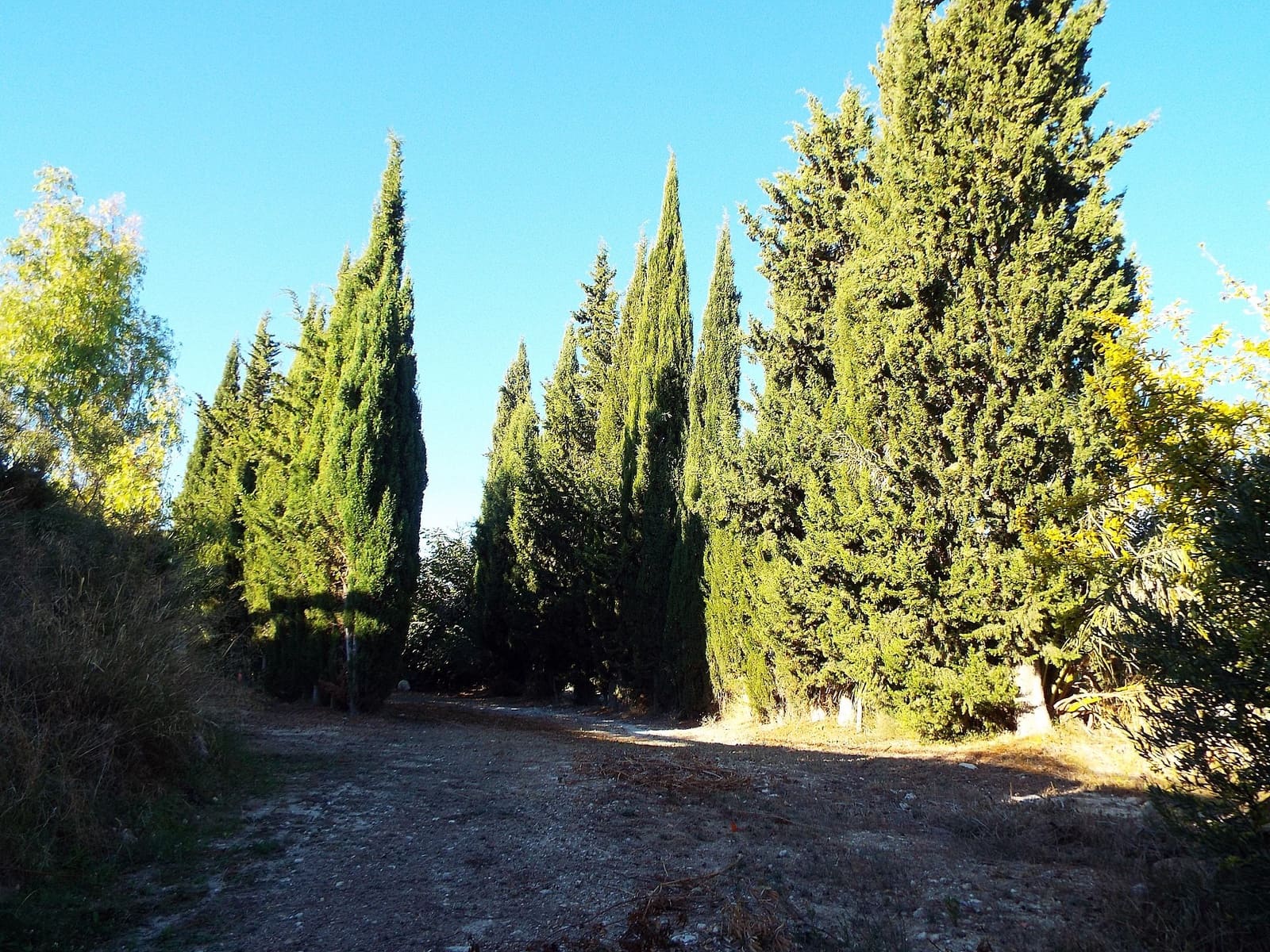 12 slaapkamer Finca/Landhuis te koop in Mahoya met zwembad garage - € 250.000 (Ref: 9764971)