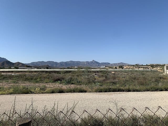 Mark till salu i Monforte del Cid - 80 000 € (Ref: 9765002)