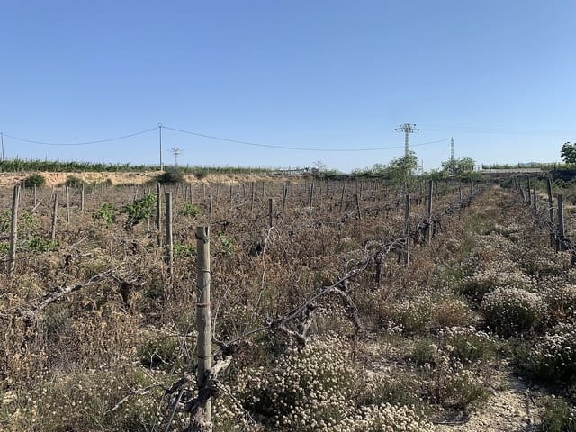 Mark till salu i Monforte del Cid - 65 000 € (Ref: 9765003)