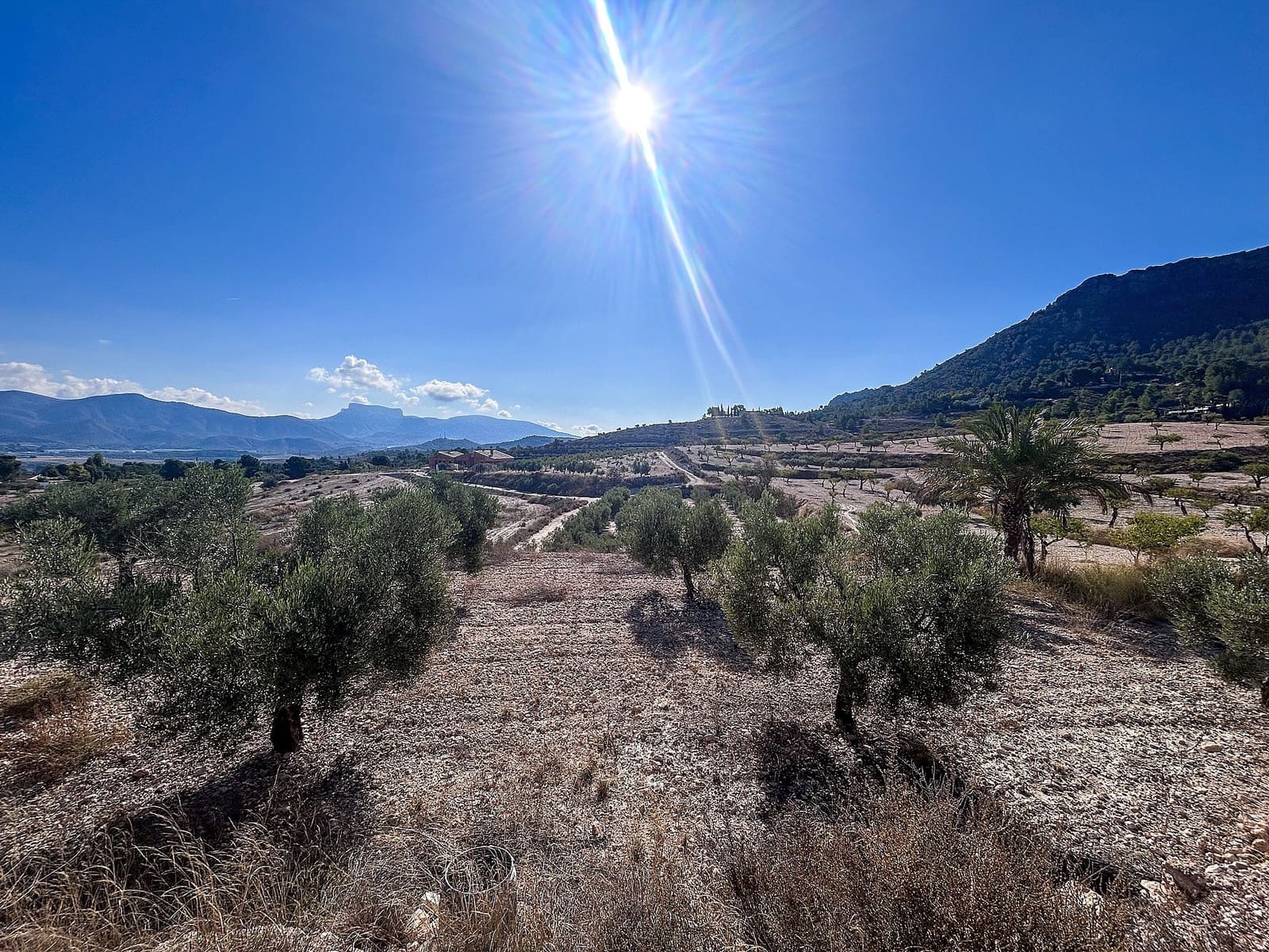 2 quarto Quinta/Casa Rural para venda em Elda com garagem - 150 000 € (Ref: 9765012)