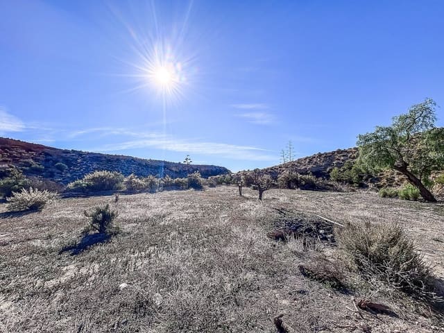 4 soverom Finca/Herregård til salgs i Crevillente / Crevillent med svømmebasseng garasje - € 130 000 (Ref: 9765016)