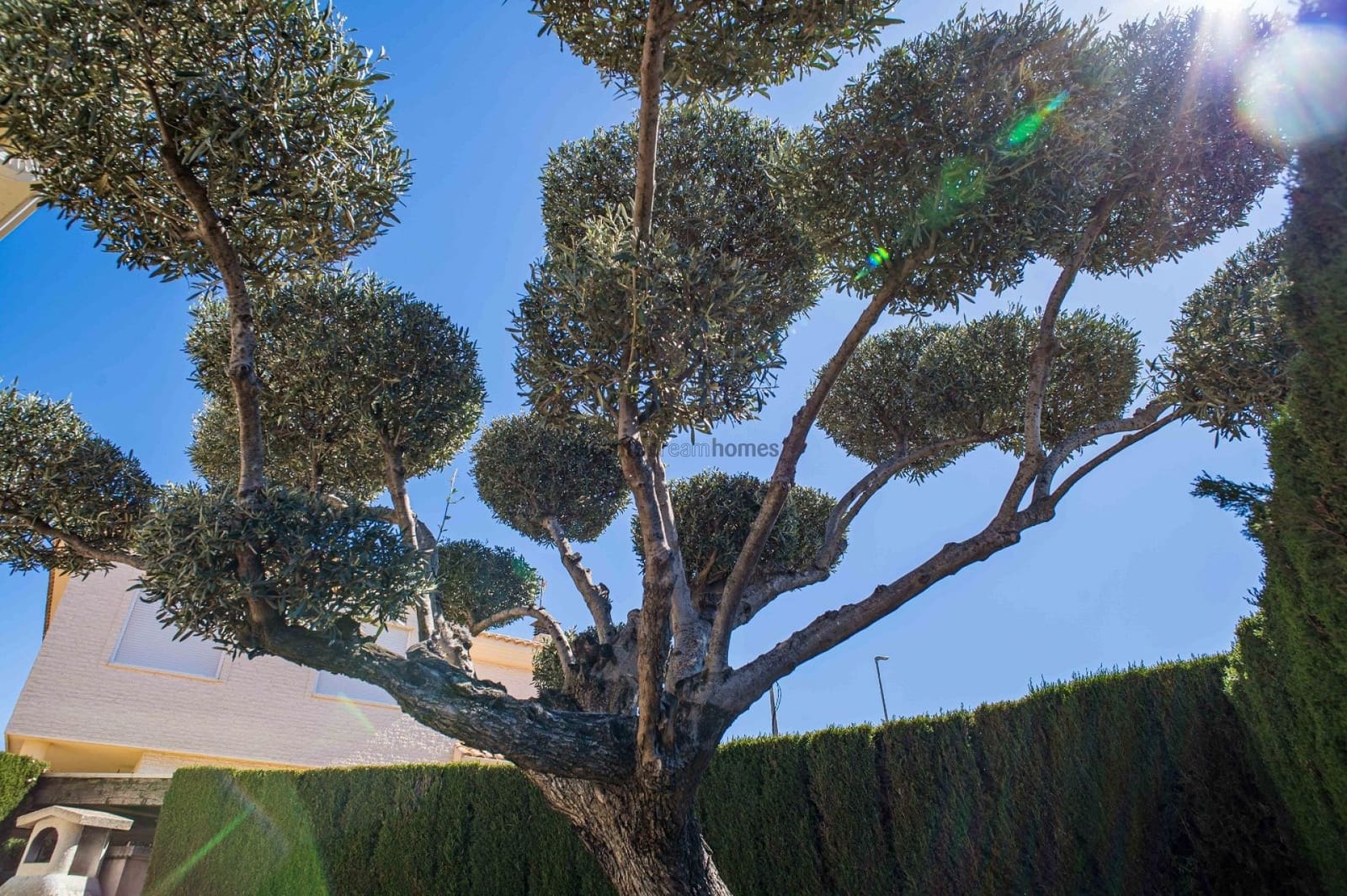 3 sypialnia Willa na sprzedaż w Elda z basenem - 430 000 € (Ref: 9772653)