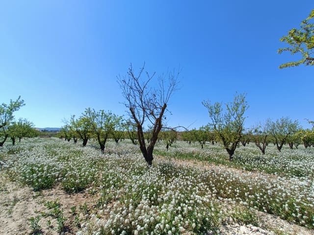 3 chambre Villa/Maison à vendre à Pinoso - 425 000 € (Ref: 9782948)