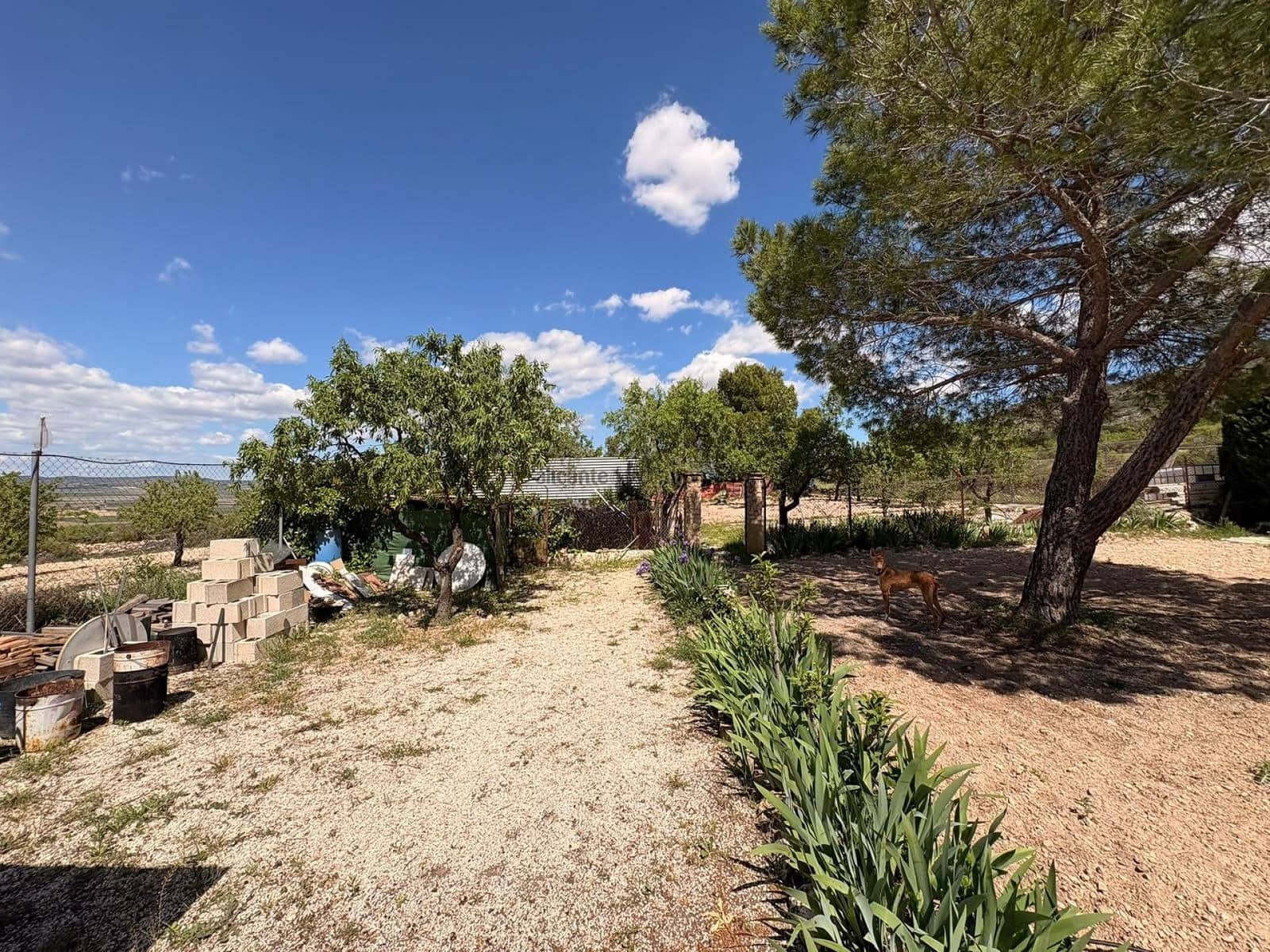 3 soveværelse Villa til salg i Yecla med swimmingpool garage - € 149.995 (Ref: 9782949)