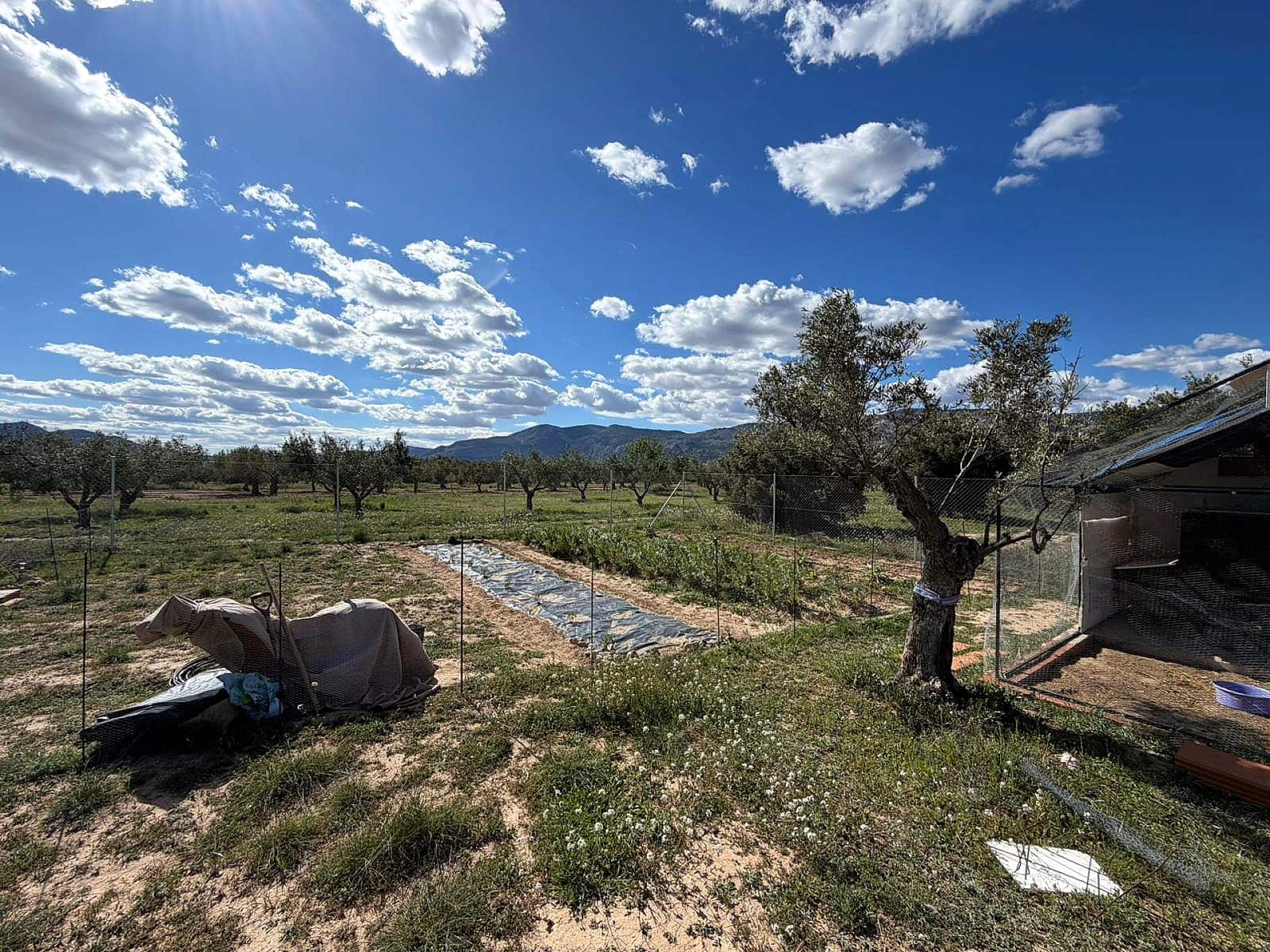 Undeveloped Land for sale in Onil - € 79,995 (Ref: 9783554)