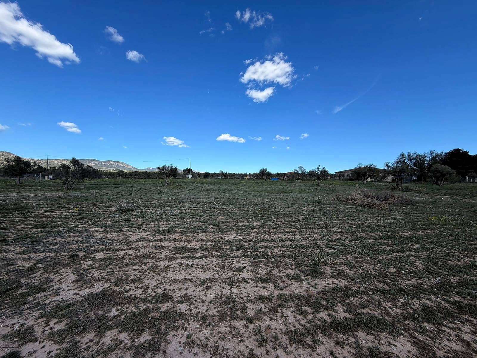 Undeveloped Land for sale in Onil - € 79,995 (Ref: 9783554)