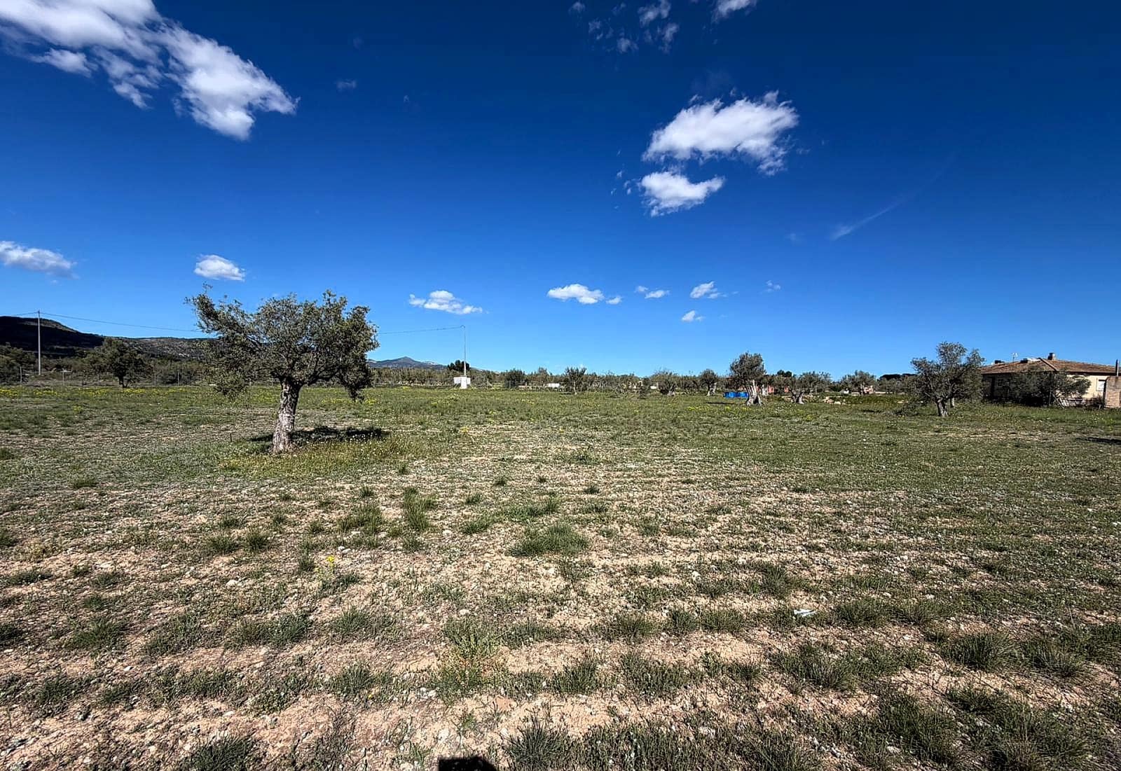 Undeveloped Land for sale in Onil - € 79,995 (Ref: 9783554)