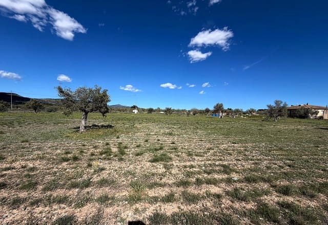 Rakentamaton maa myytävänä paikassa Onil - 79 995 € (Ref: 9783554)