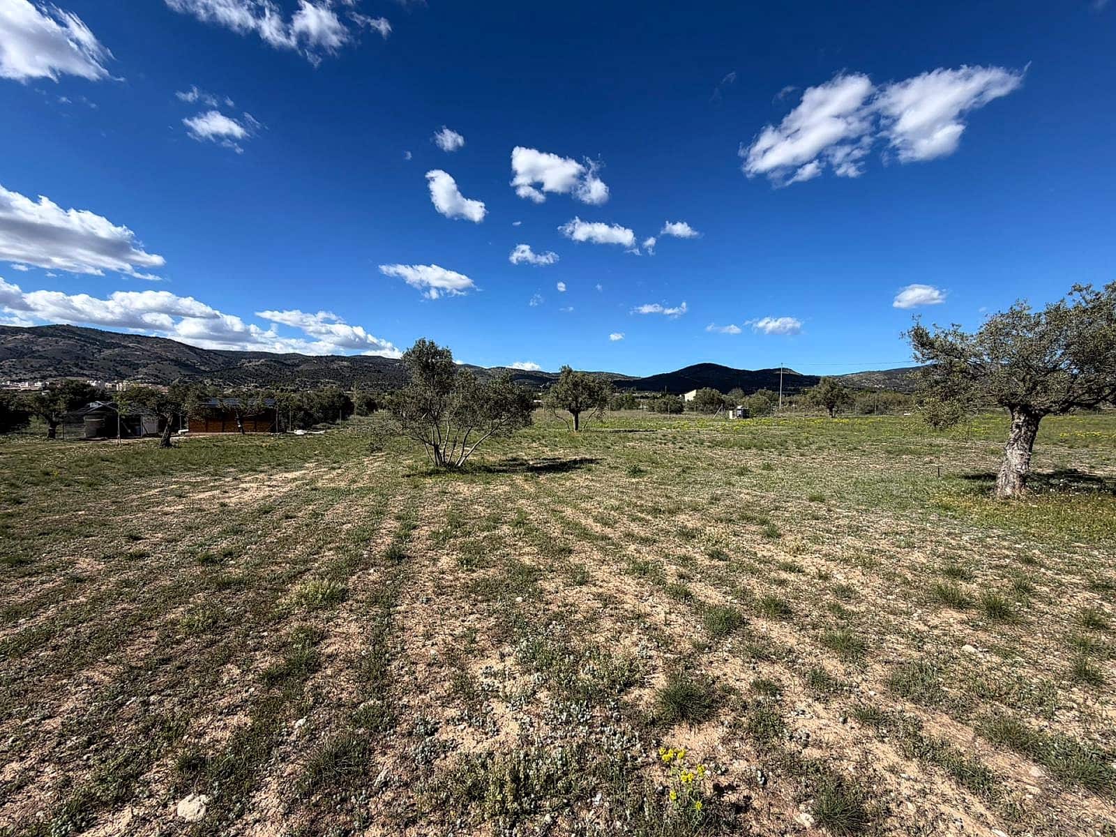 Undeveloped Land for sale in Onil - € 79,995 (Ref: 9783554)