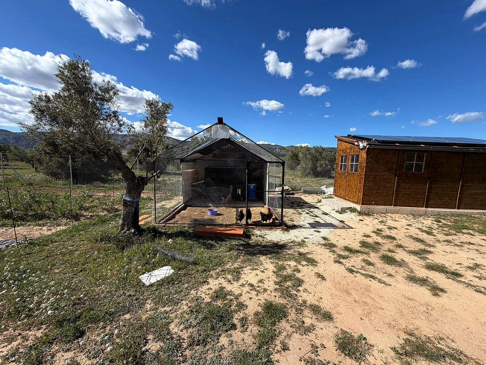 Undeveloped Land for sale in Onil - € 79,995 (Ref: 9783554)