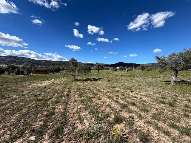 Rakentamaton maa myytävänä paikassa Onil - 79 995 € (Ref: 9783554)