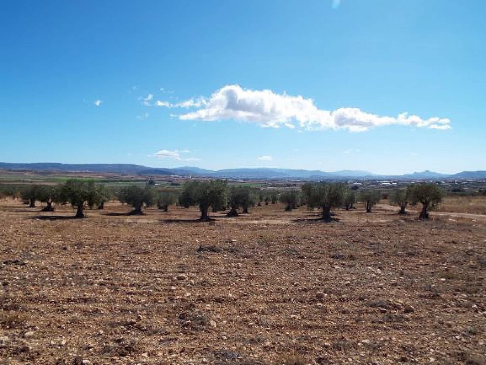 Terreno/Finca Rústica en Caudete en venta - 24.000 € (Ref: 9790120)