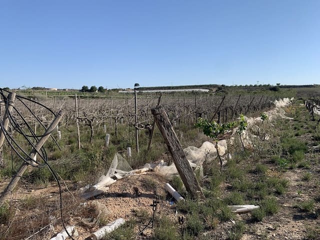 Grunde uden byggetilladelser til salg i Monforte del Cid - € 80.000 (Ref: 9790162)