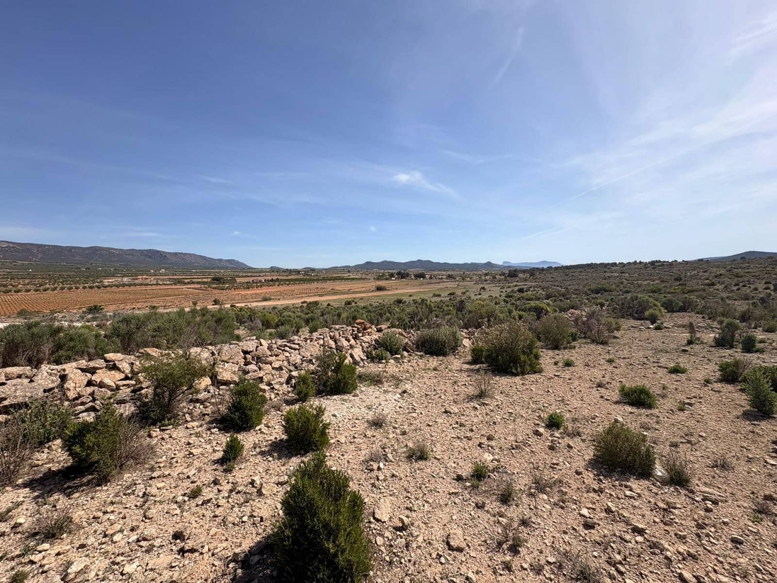 Undeveloped Land for sale in Pinoso - € 49,995 (Ref: 9790178)