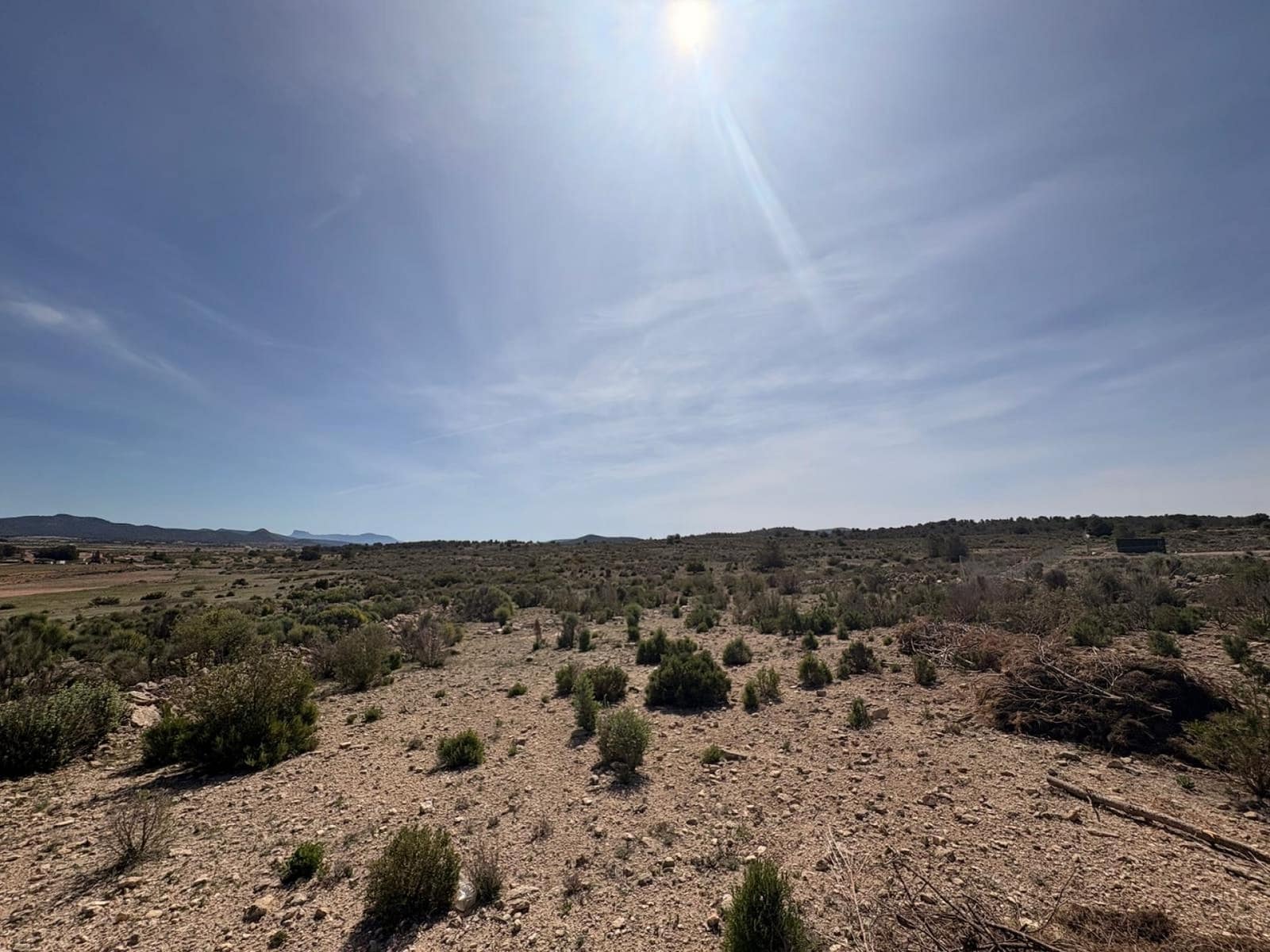 Undeveloped Land for sale in Pinoso - € 49,995 (Ref: 9790178)