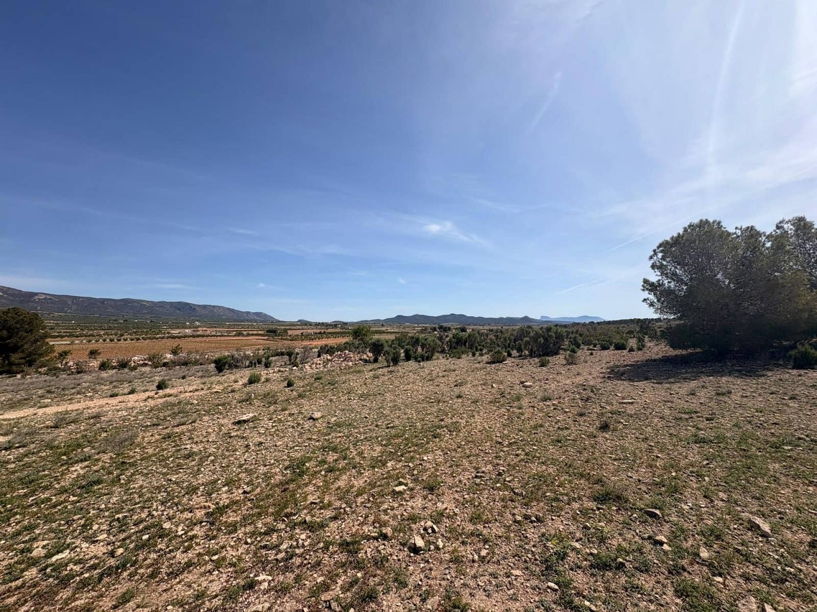 Undeveloped Land for sale in Pinoso - € 49,995 (Ref: 9790178)
