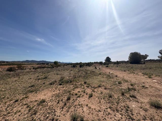 Grunde uden byggetilladelser til salg i Pinoso - € 49.995 (Ref: 9790178)