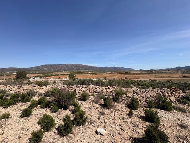 Grunde uden byggetilladelser til salg i Pinoso - € 49.995 (Ref: 9790178)