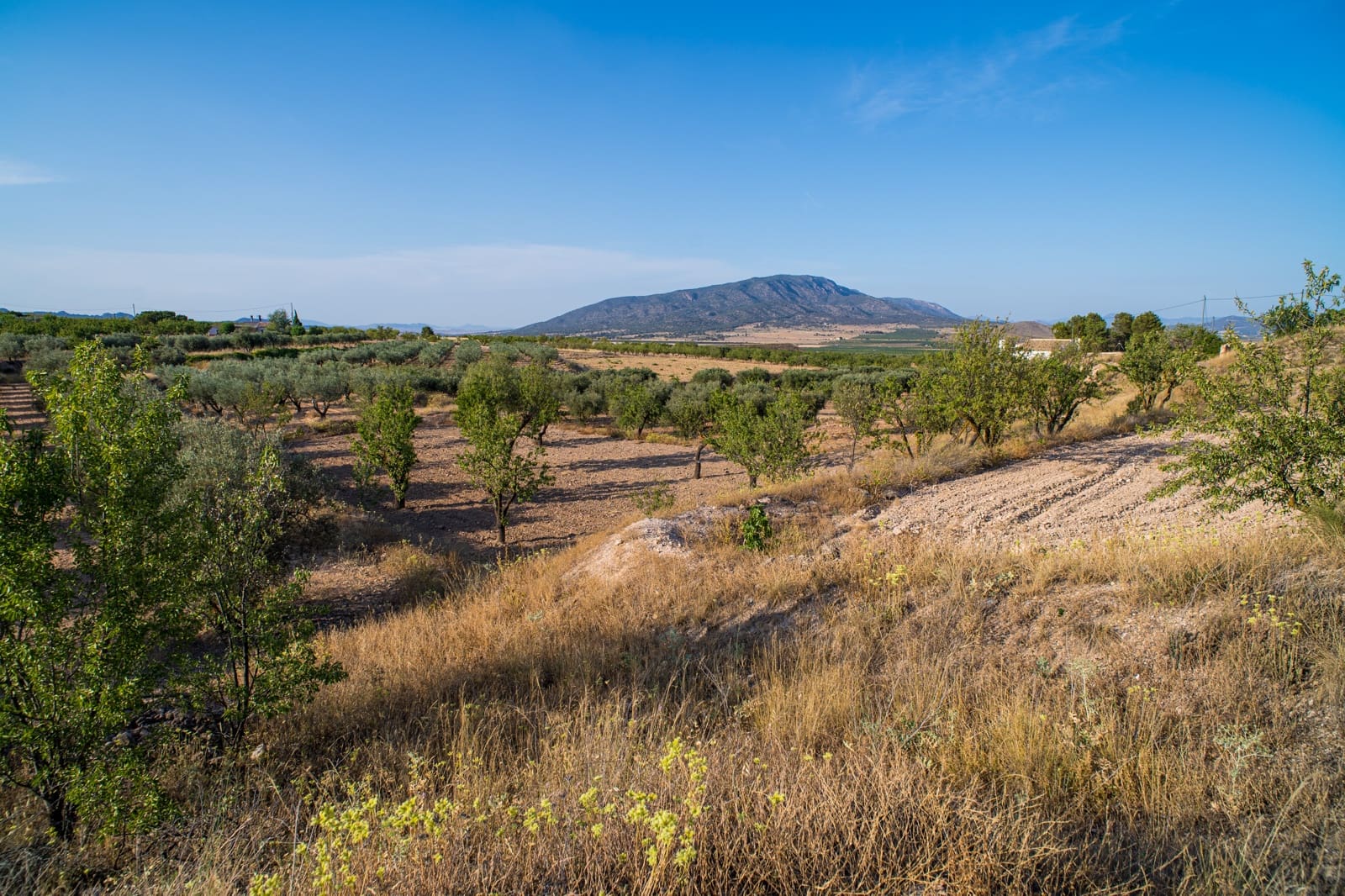 3 slaapkamer Huis te koop in Yecla met zwembad - € 56.500 (Ref: 9790181)
