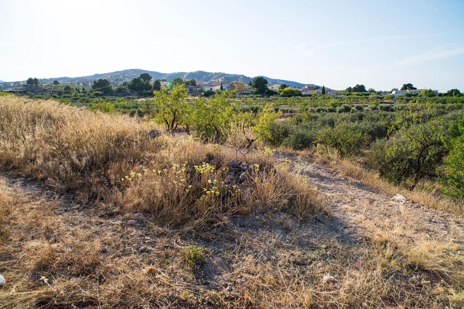 3 slaapkamer Huis te koop in Yecla met zwembad - € 56.500 (Ref: 9790181)