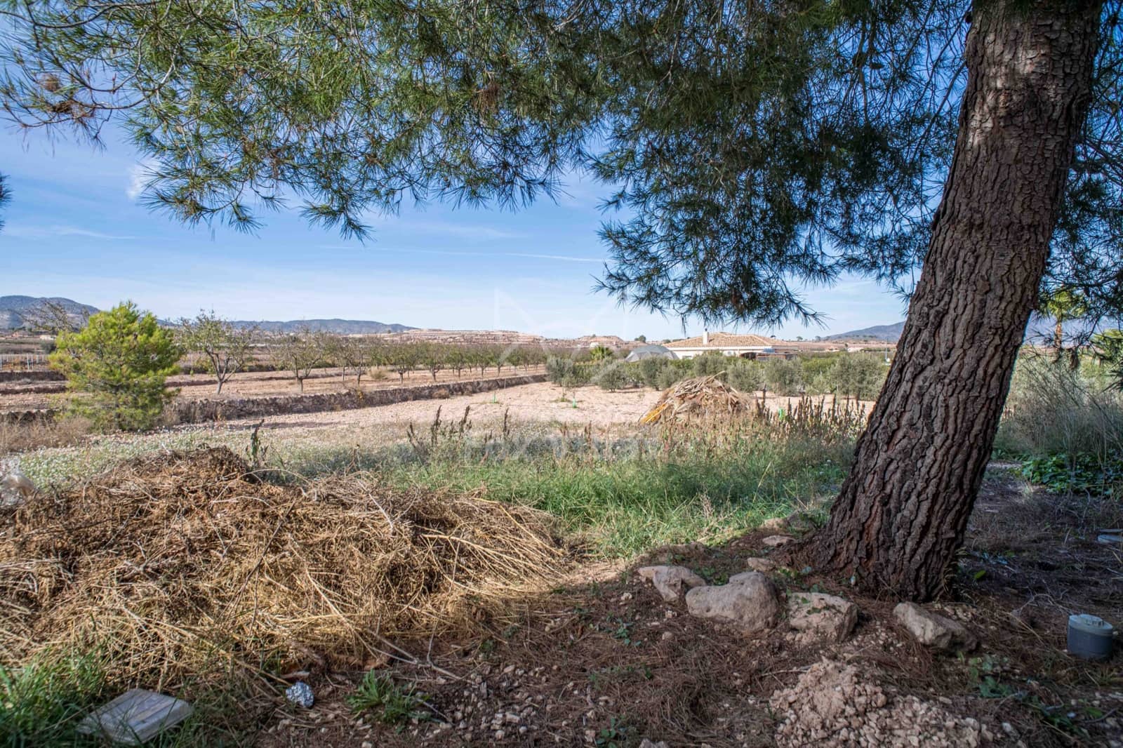 3 bedroom Townhouse for sale in Pinoso - € 149,000 (Ref: 9790190)