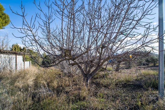 5 sypialnia Dom na sprzedaż w Pinoso z basenem - 179 950 € (Ref: 9790193)