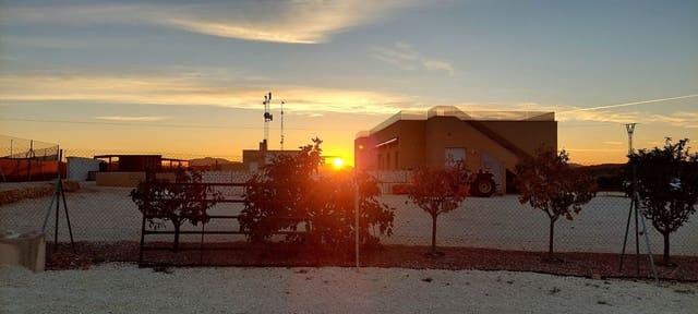 3 slaapkamer Finca/Landhuis te koop in Pinoso met zwembad - € 599.995 (Ref: 9790204)