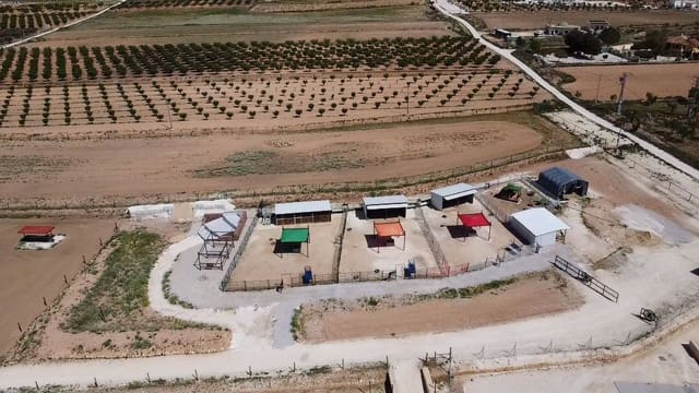 3 slaapkamer Finca/Landhuis te koop in Pinoso met zwembad - € 599.995 (Ref: 9790204)