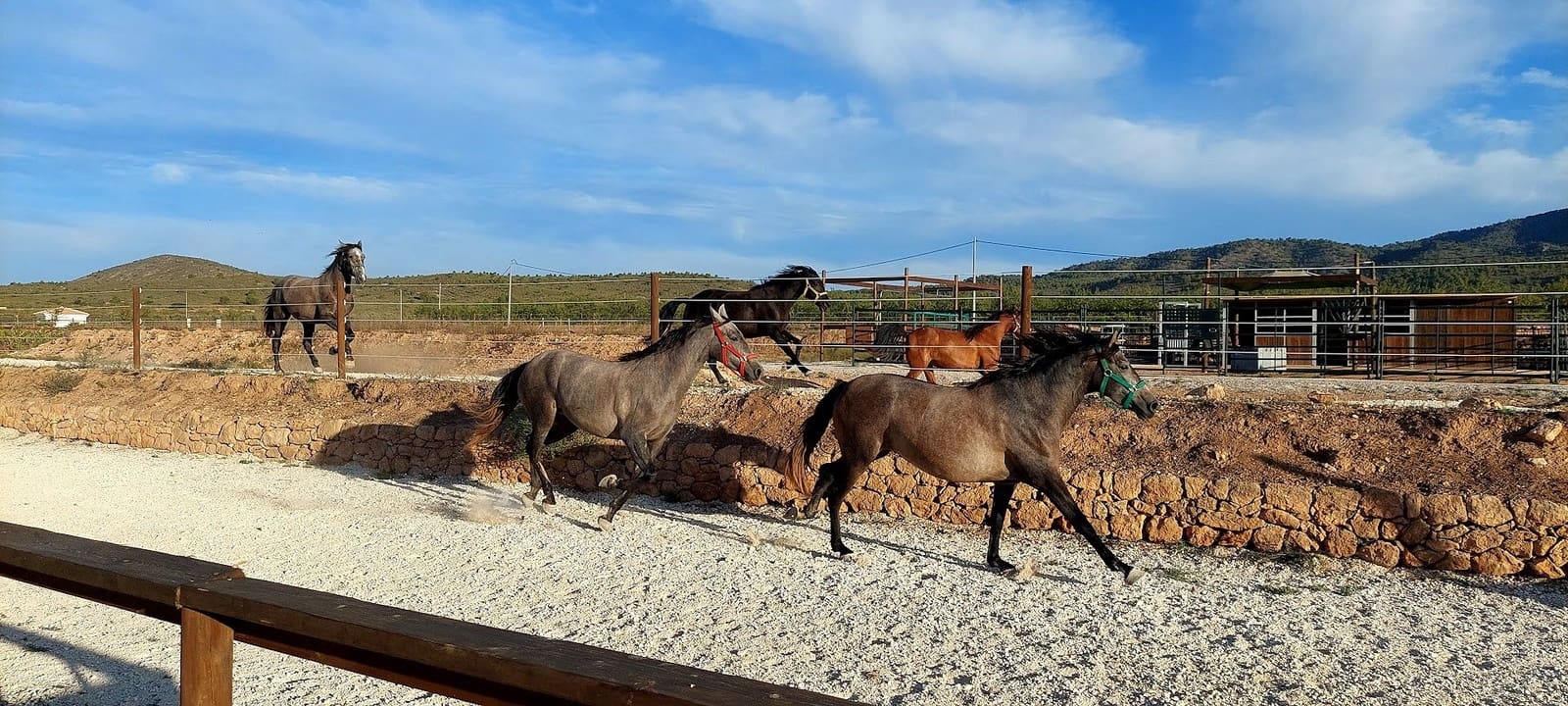 3 bedroom Finca/Country House for sale in Pinoso with pool - € 599,995 (Ref: 9790204)