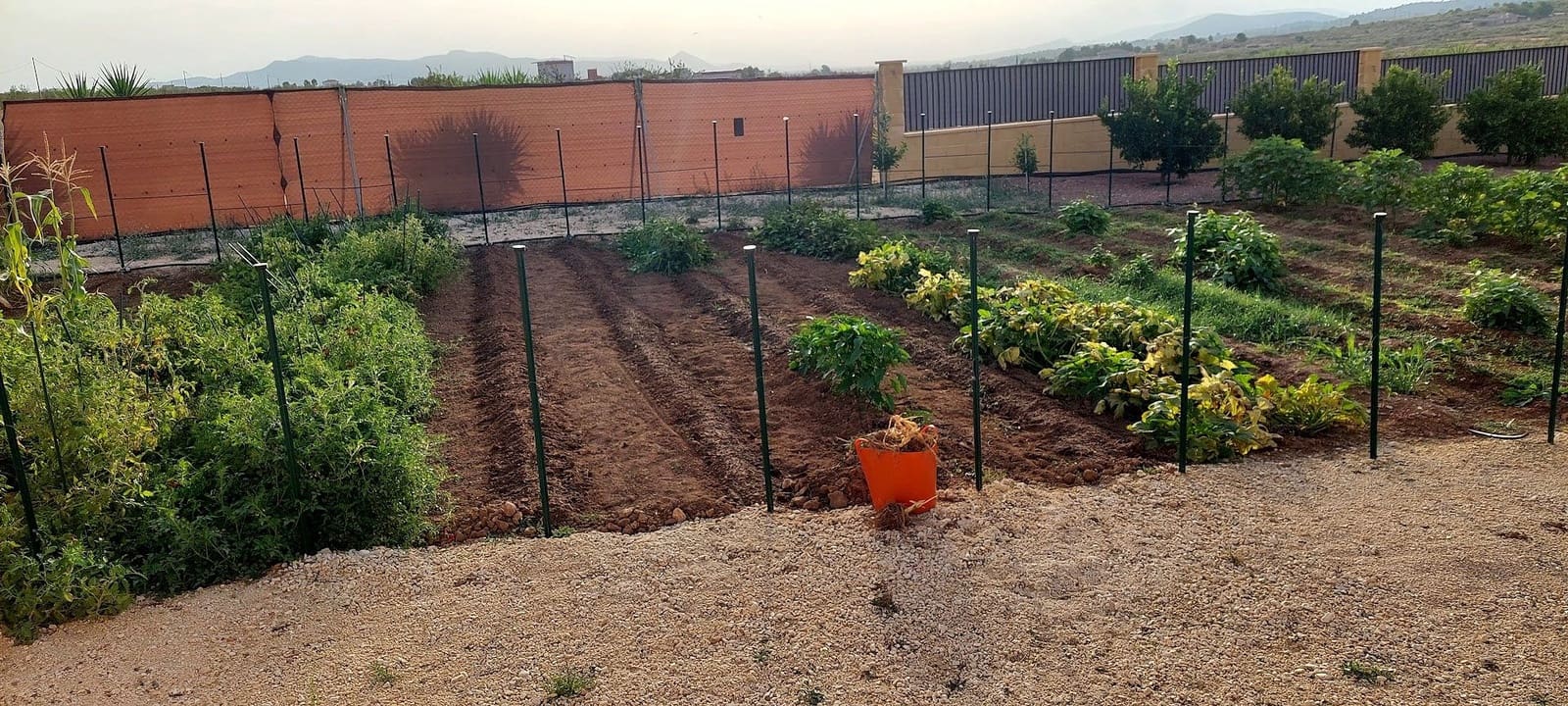 3 bedroom Finca/Country House for sale in Pinoso with pool - € 599,995 (Ref: 9790204)