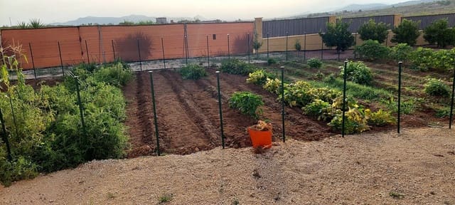 3 slaapkamer Finca/Landhuis te koop in Pinoso met zwembad - € 599.995 (Ref: 9790204)