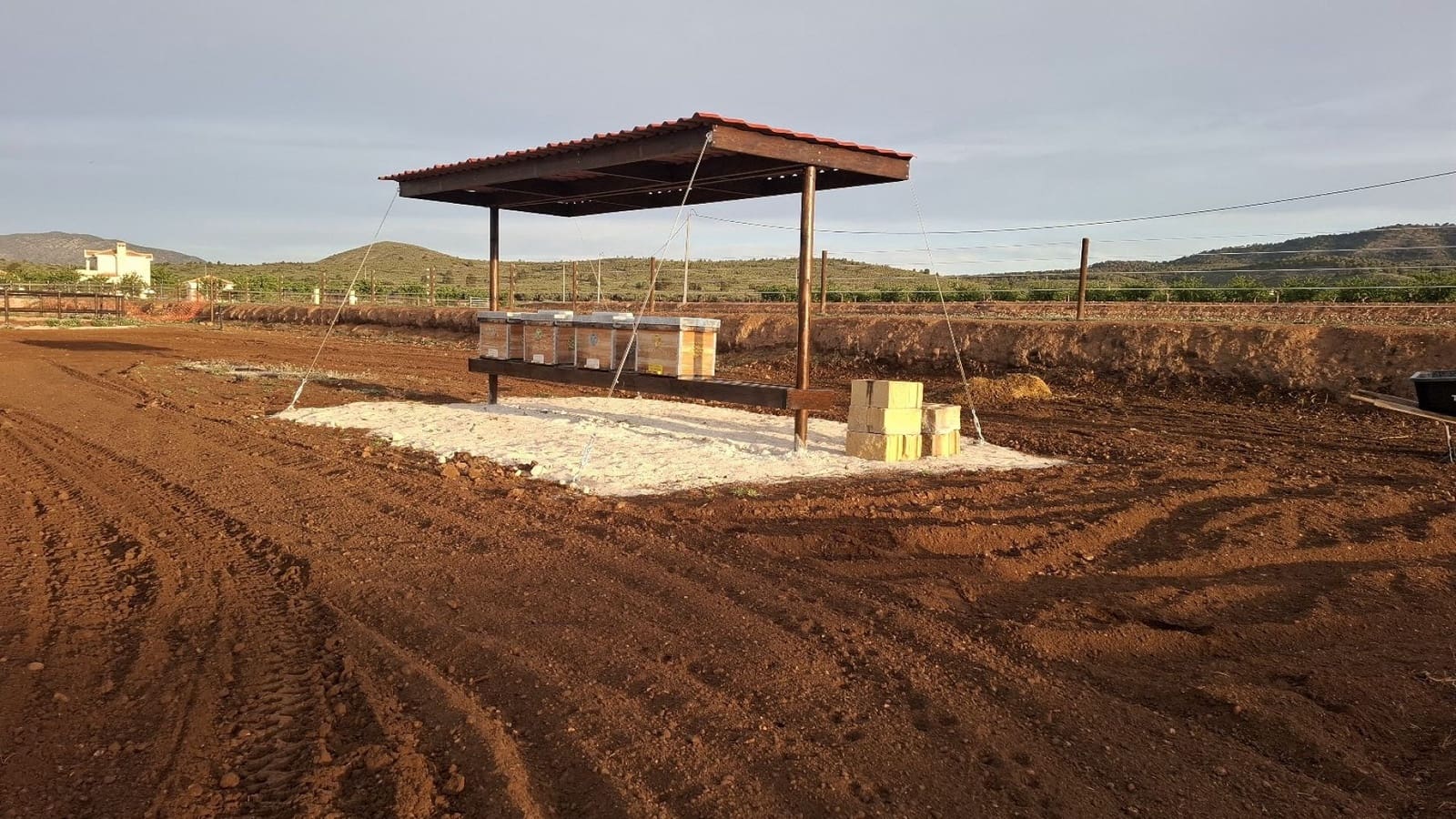 3 bedroom Finca/Country House for sale in Pinoso with pool - € 599,995 (Ref: 9790204)