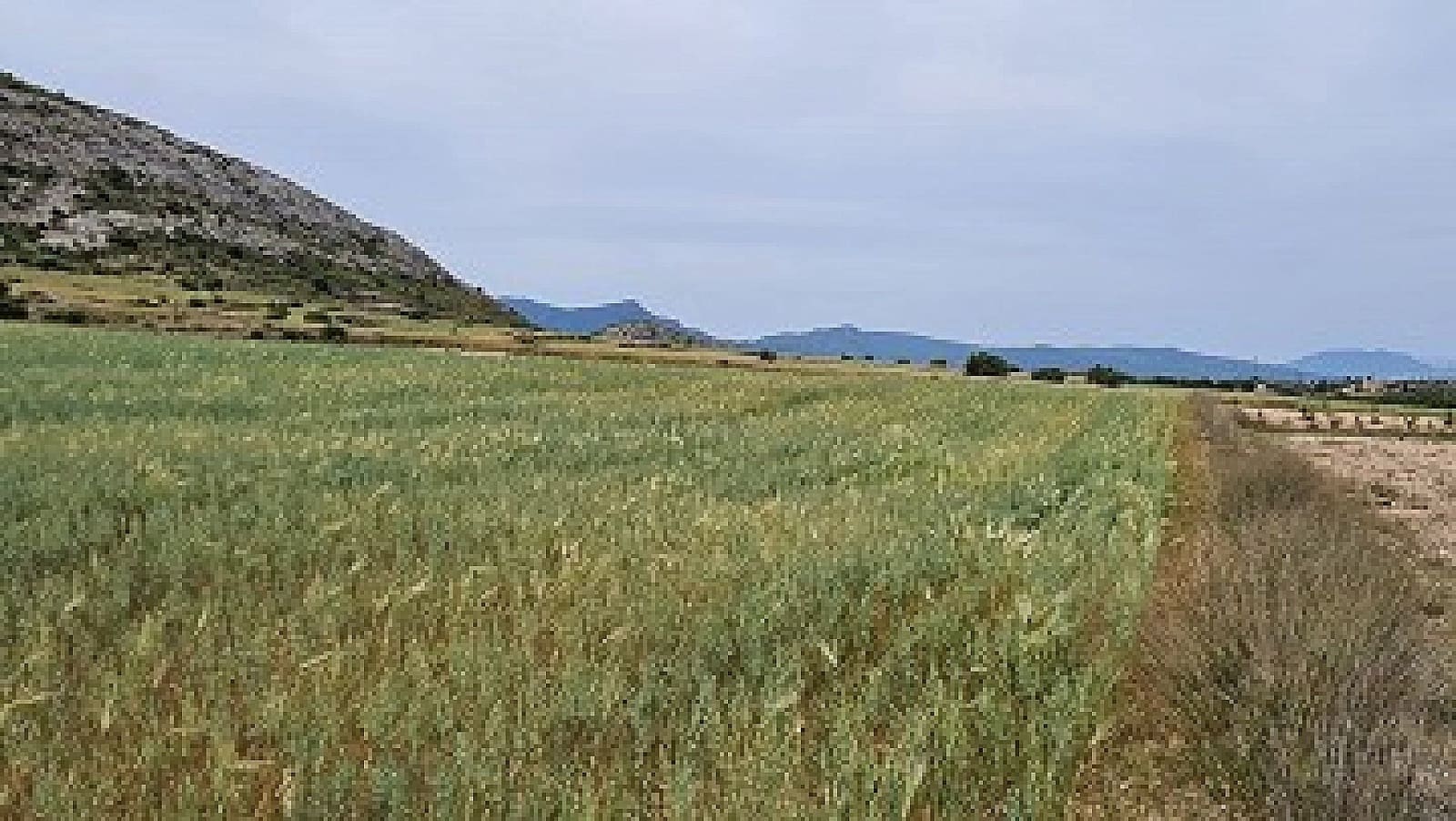 3 chambre Villa/Maison à vendre à Torre del Rico - 277 000 € (Ref: 9793978)