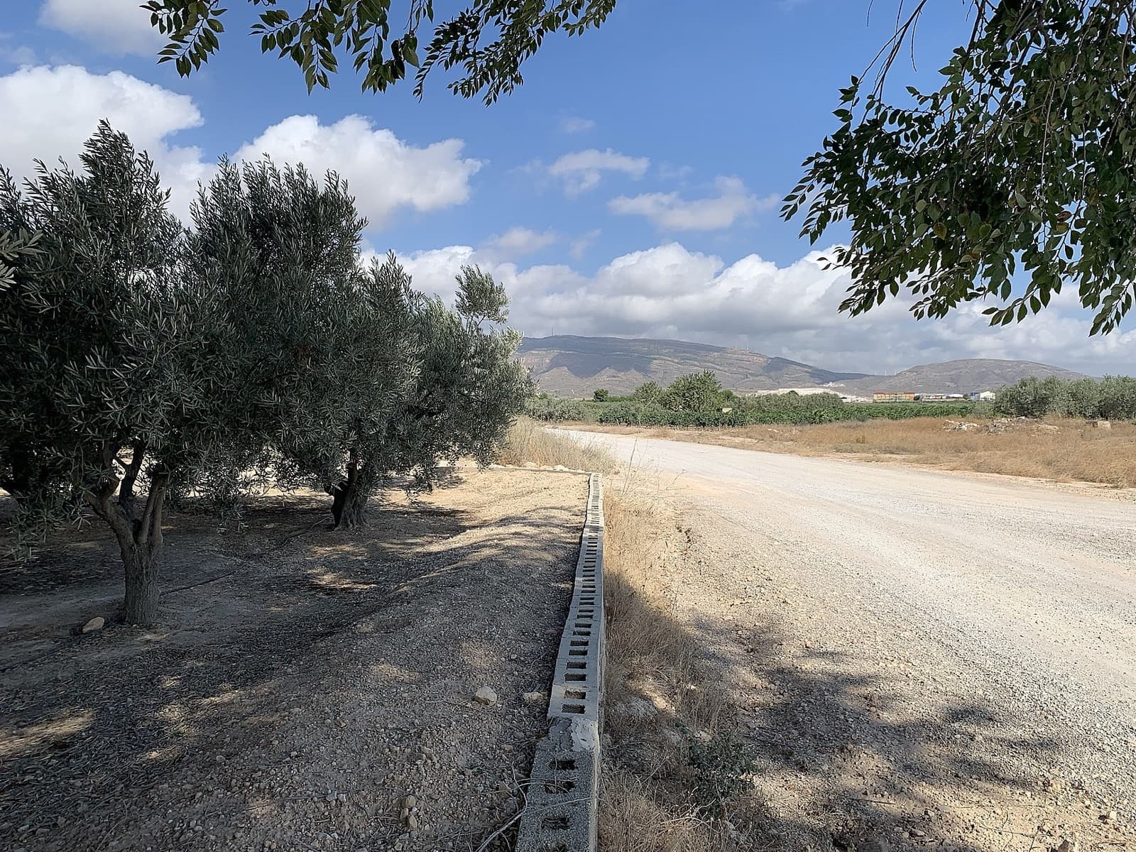 Finca/Landehus til salg i Caudete - € 44.950 (Ref: 9793979)